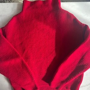 ARITZIA wool sweater